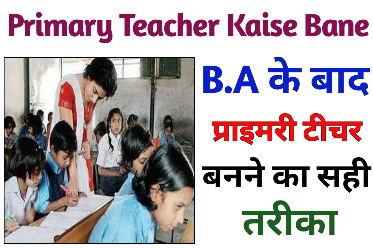 BA Ke Baad Primary Teacher Kaise bane